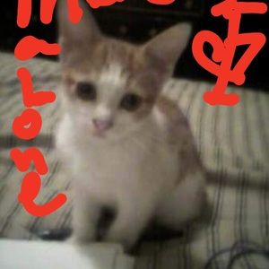 Meet your Posher, Angie